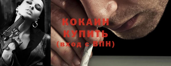 стаф Арсеньев