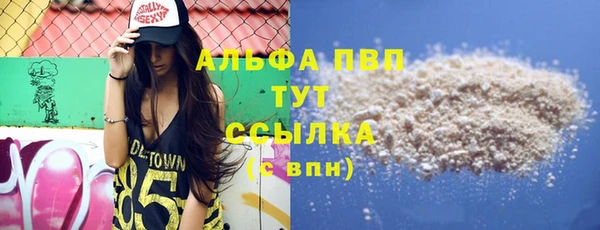 стаф Арсеньев