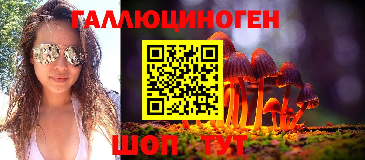 Пушкино  Галлюциногенные грибы Cubensis  Вход с VPN 